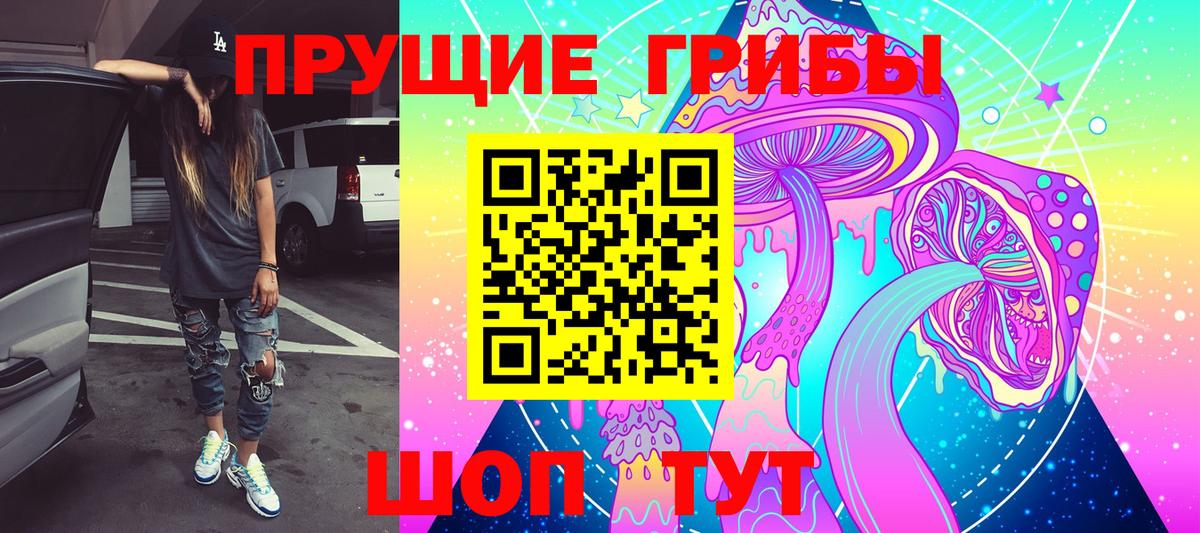 Псилоцибиновые грибы GOLDEN TEACHER Нижнеудинск