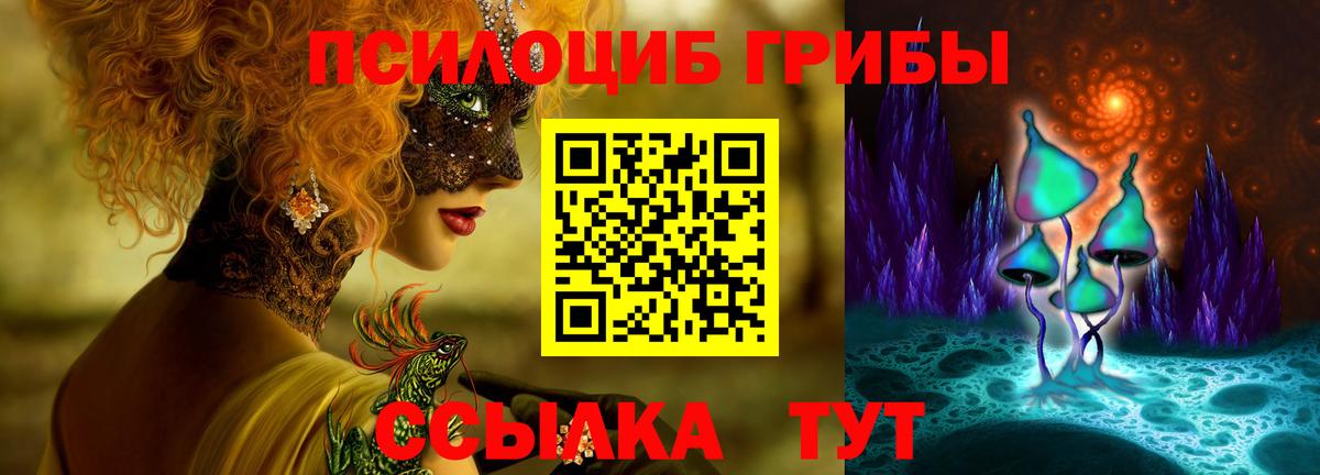 Нижнеудинск  Галлюциногенные грибы мухоморы  магазин  наркотиков  Вход с VPN  Псилоцибиновые грибы Psilocybe 