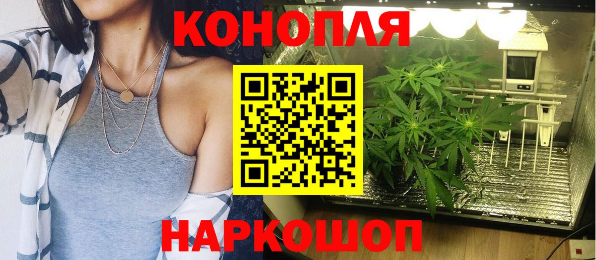 Конопля гибрид Нижнеудинск